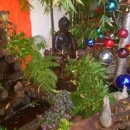 Mi Aldea Holistica Otel Meksika Dış mekan fotoğraf
