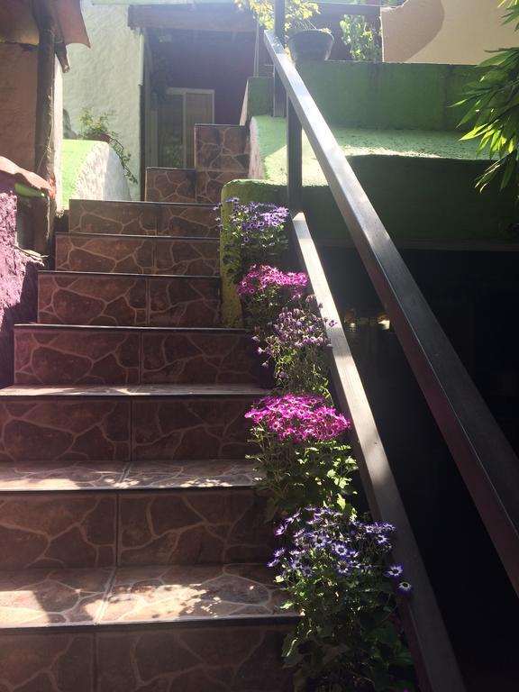Mi Aldea Holistica Otel Meksika Dış mekan fotoğraf