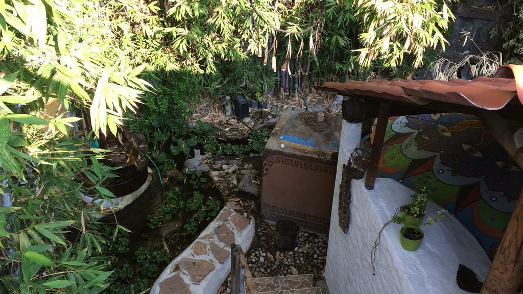 Mi Aldea Holistica Otel Meksika Dış mekan fotoğraf