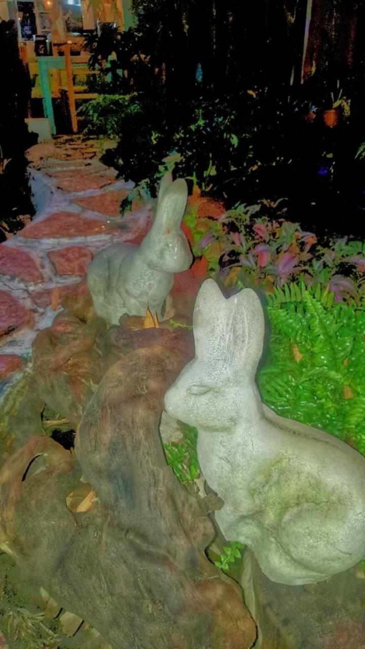 Mi Aldea Holistica Otel Meksika Dış mekan fotoğraf