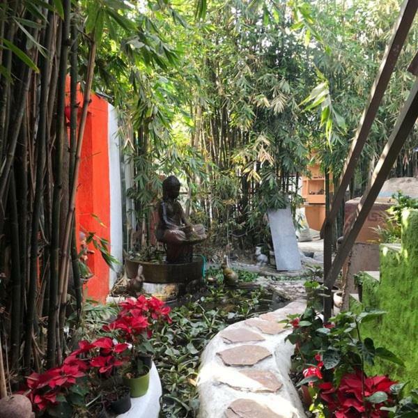 Mi Aldea Holistica Otel Meksika Dış mekan fotoğraf